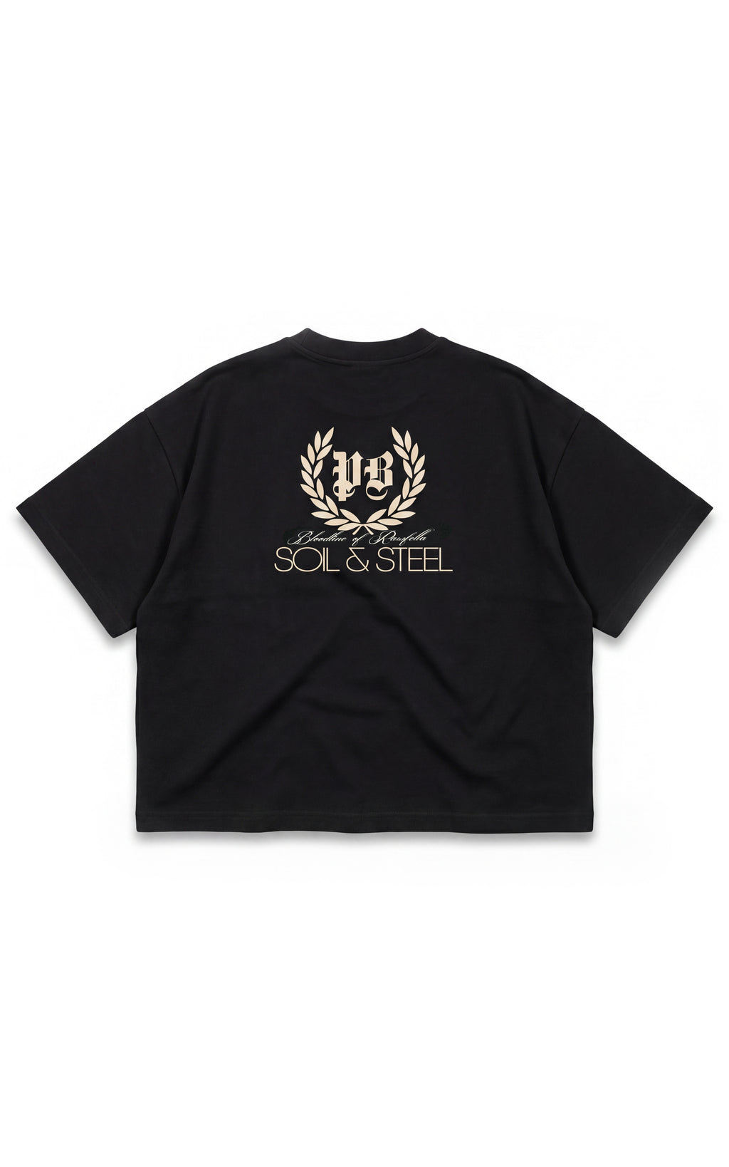 Inherited Boxy T-Shirt