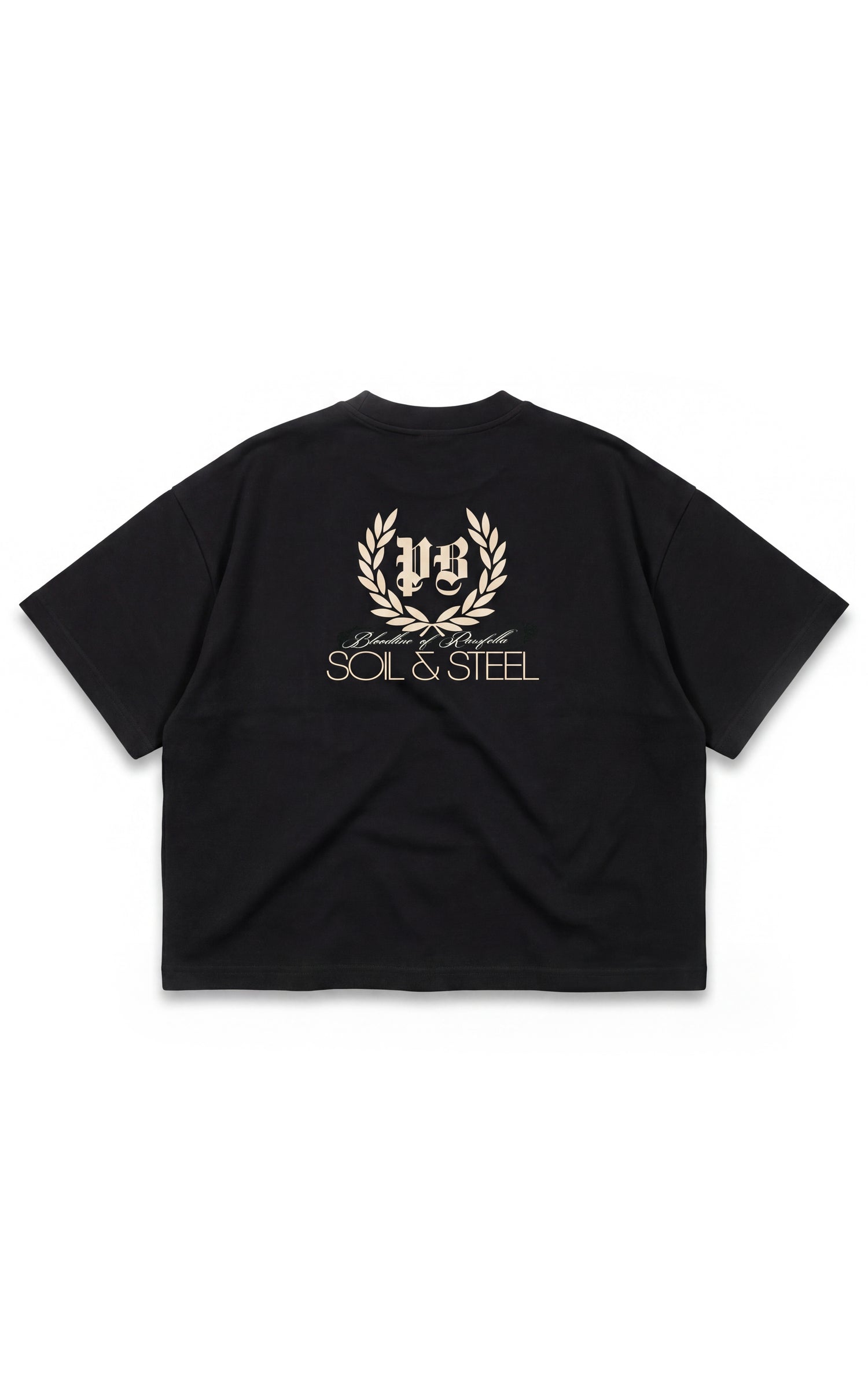Inherited Boxy T-Shirt
