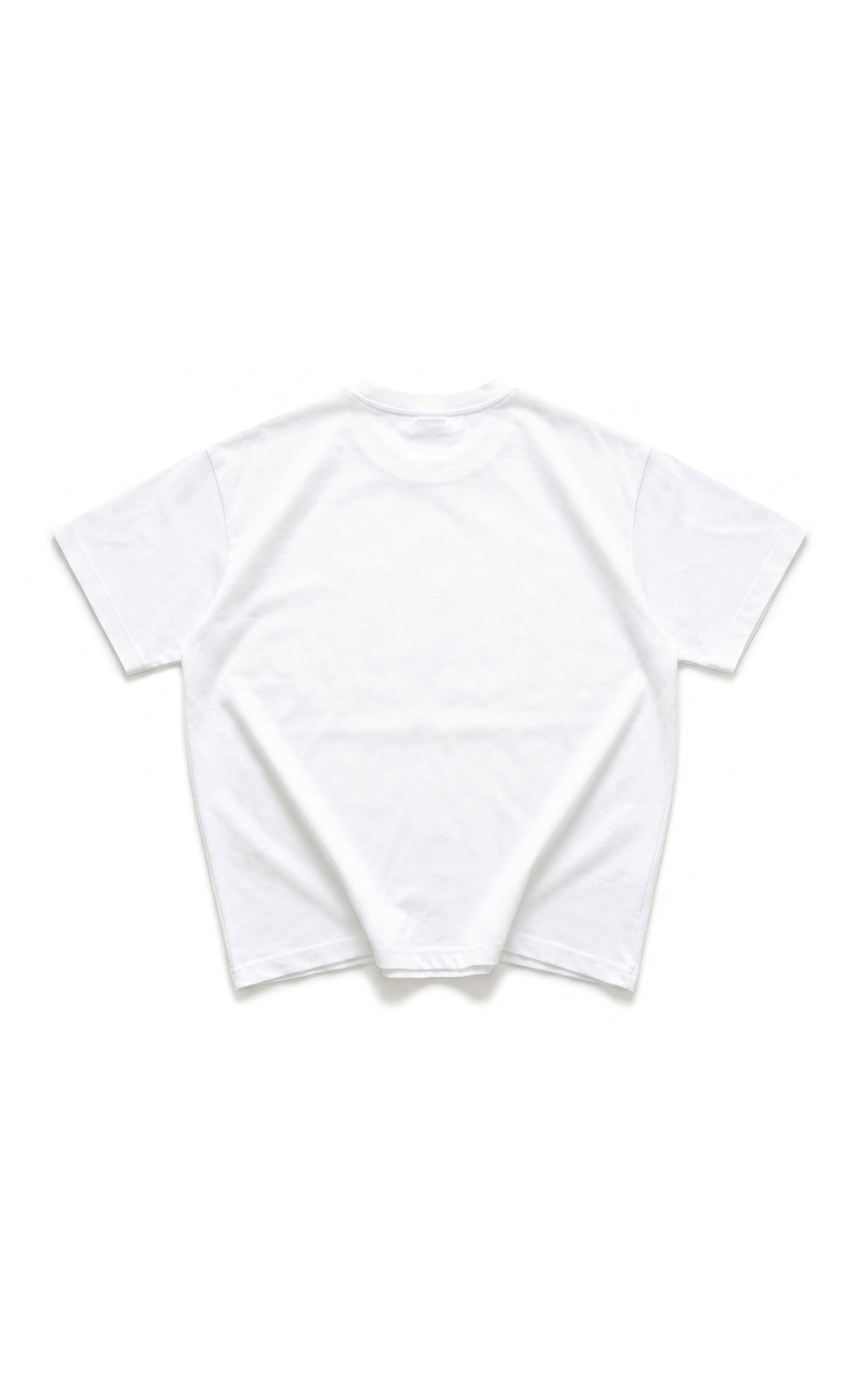 Last Ride Sidhu x Tupac Boxy T-shirt